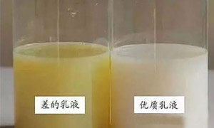 真石漆的乳液有几种？